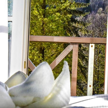 Villa Wilisch Amtsberg Eksteriør billede